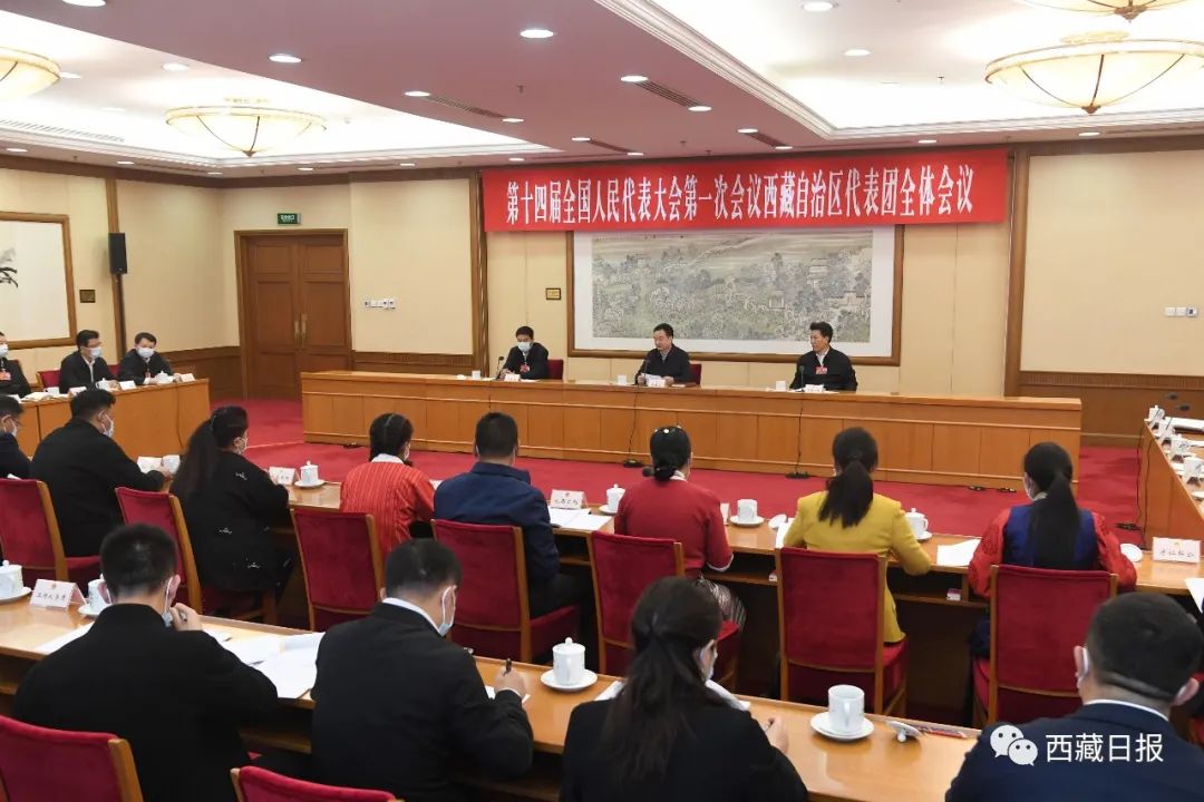 西藏代表团举行全体会议 审议立法法修正...